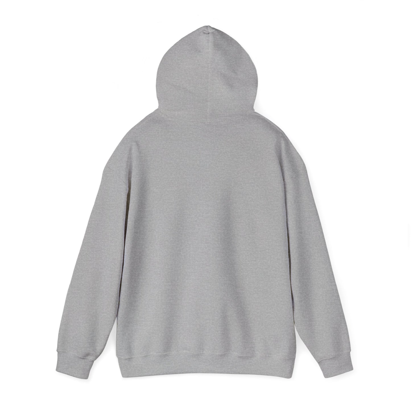 THE SOUTH WEST BASIC HOODIE