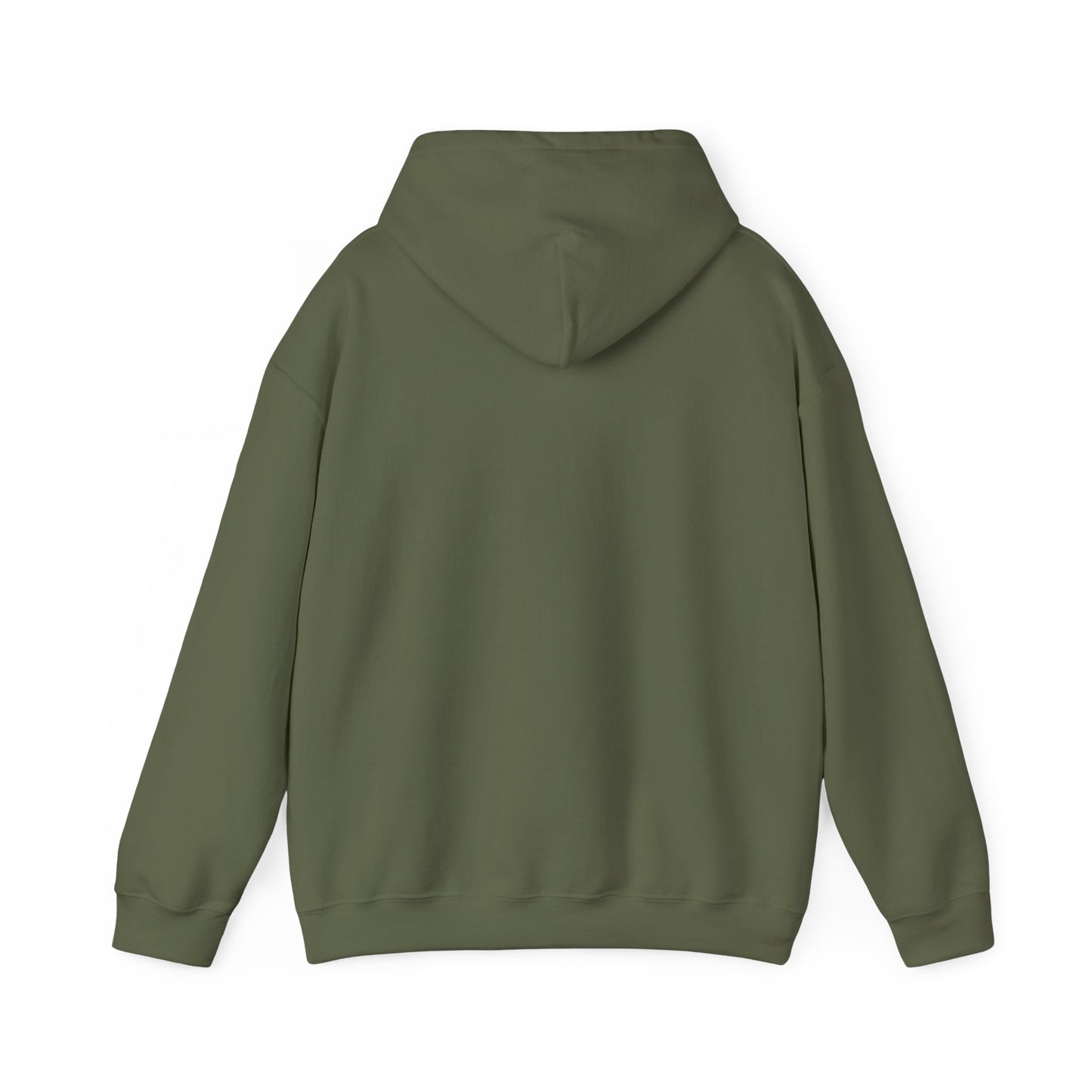 THE SOUTH WEST BASIC HOODIE