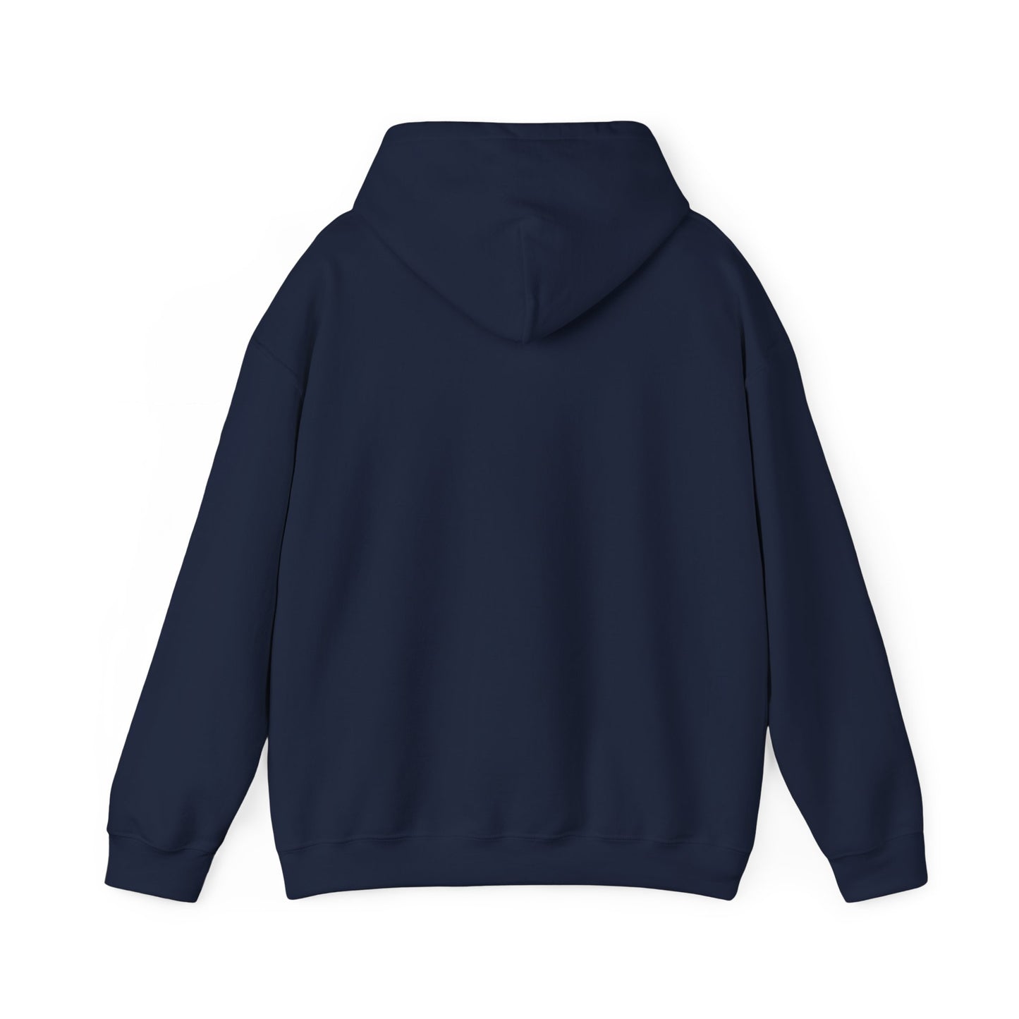 THE SOUTH WEST BASIC HOODIE