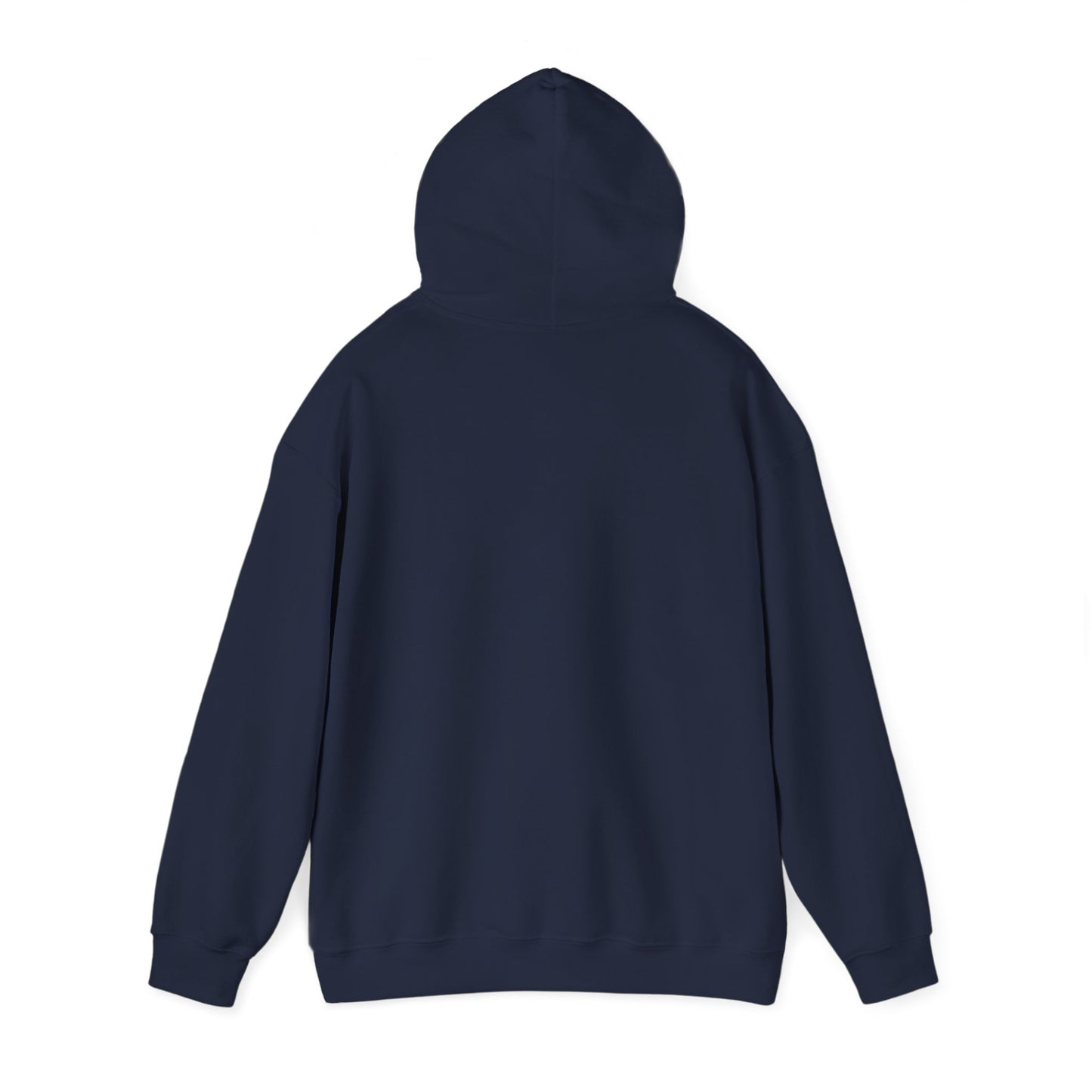 THE SOUTH WEST BASIC HOODIE