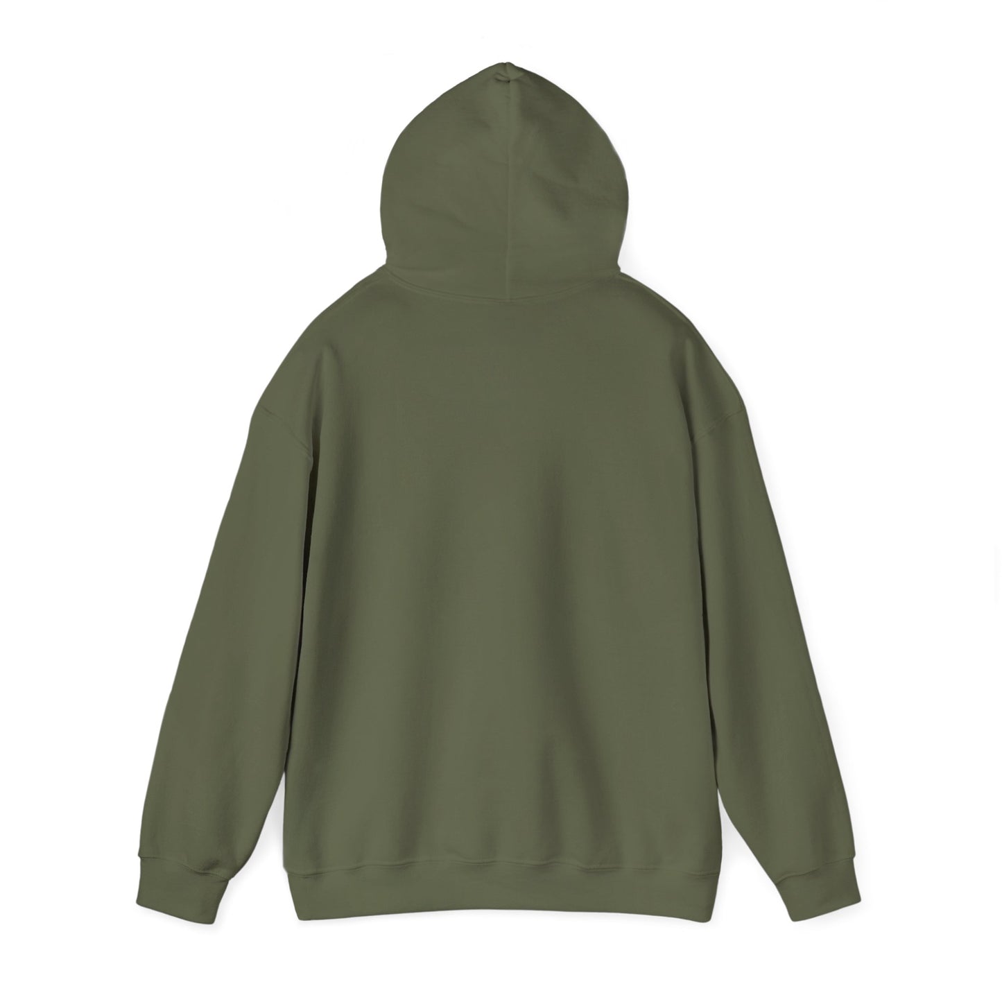 THE SOUTH WEST BASIC HOODIE