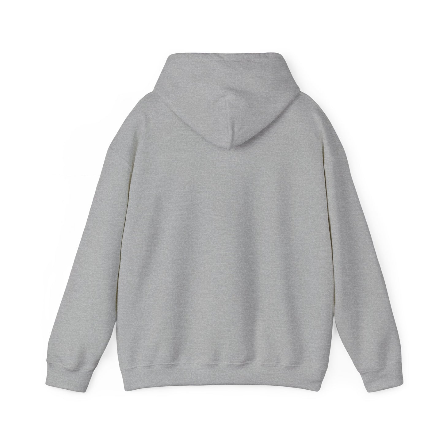THE SOUTH WEST BASIC HOODIE