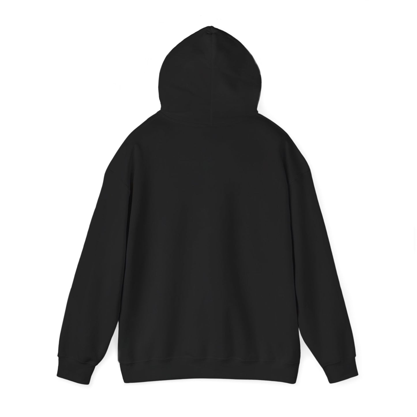 THE SOUTH WEST BASIC HOODIE