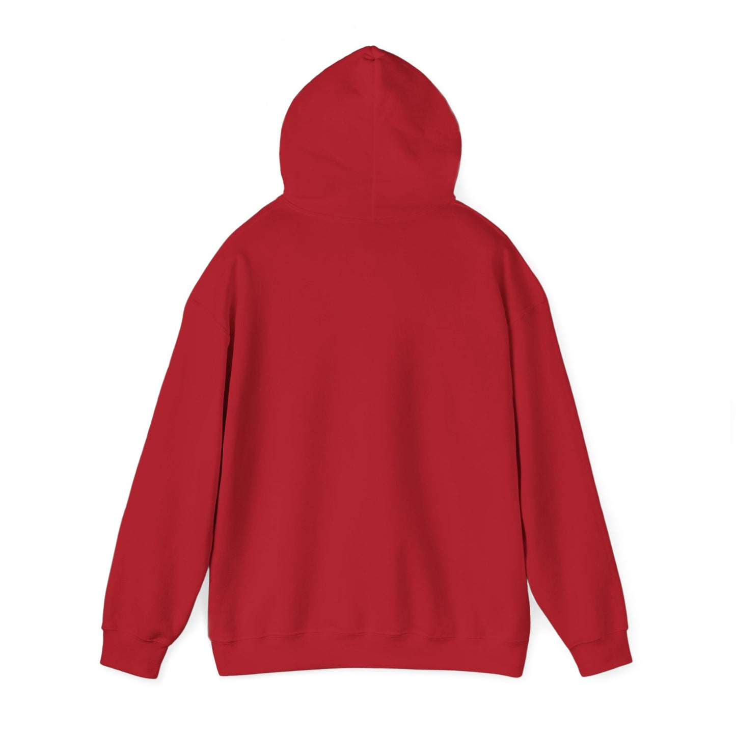 THE SOUTH WEST BASIC HOODIE