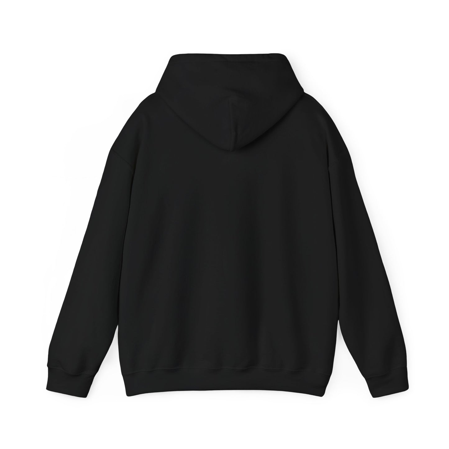 THE SOUTH WEST BASIC HOODIE