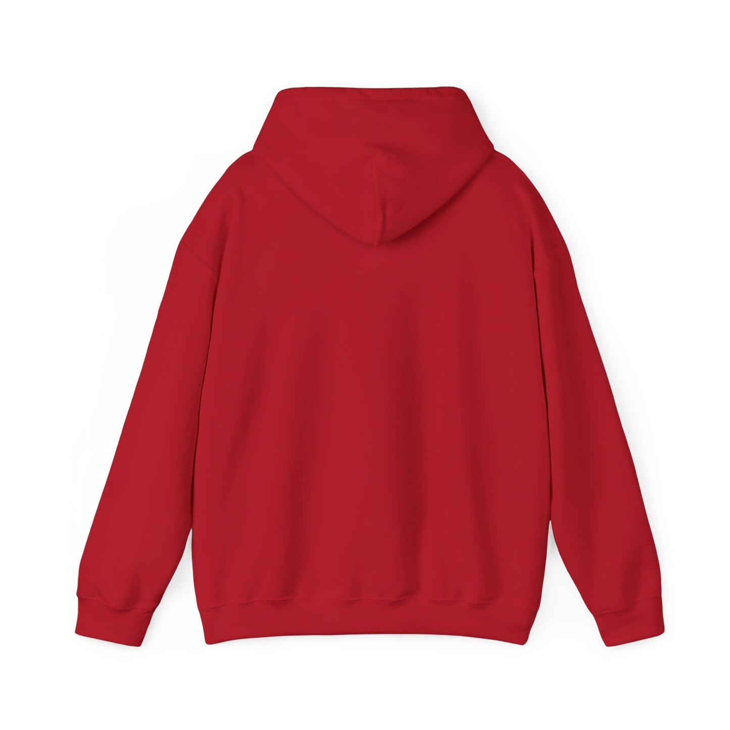 THE SOUTH WEST BASIC HOODIE