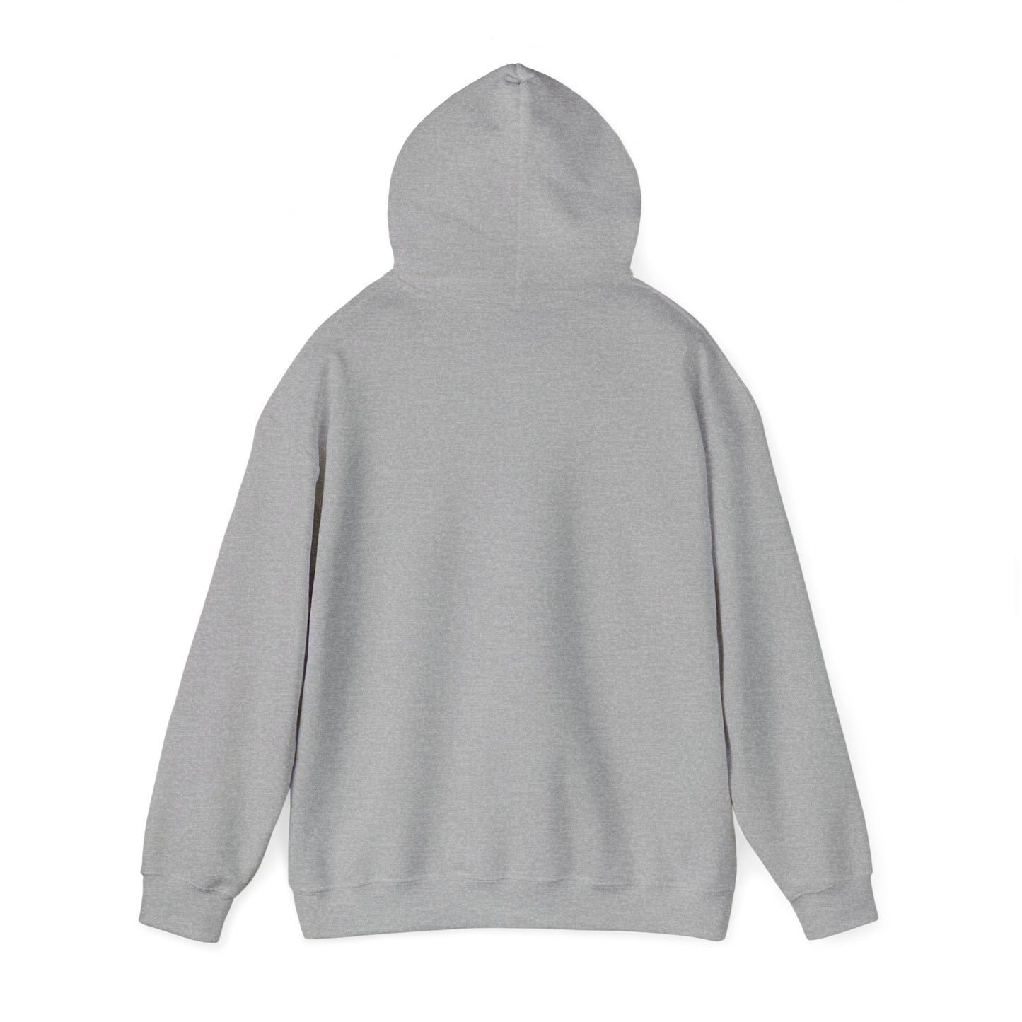 THE SOUTH WEST HOODIE