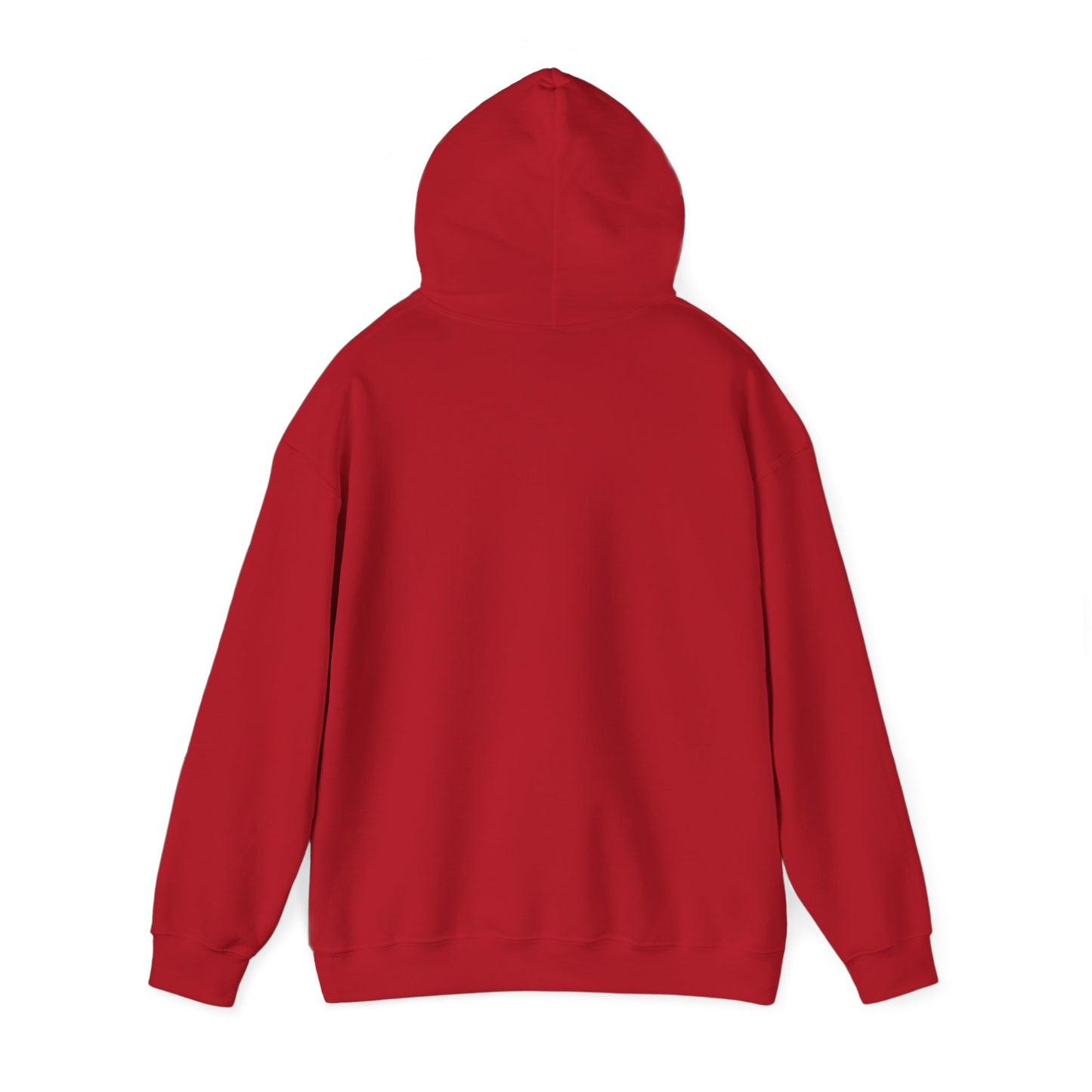 THE SOUTH WEST HOODIE