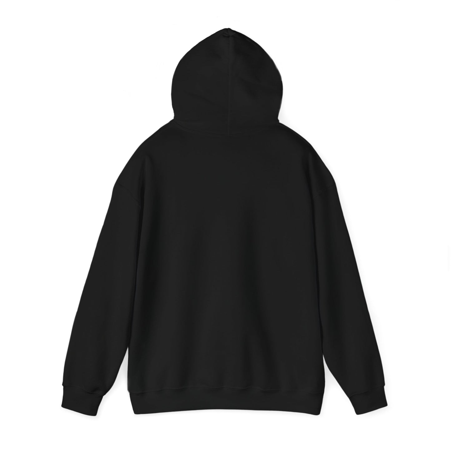 THE SOUTH WEST HOODIE